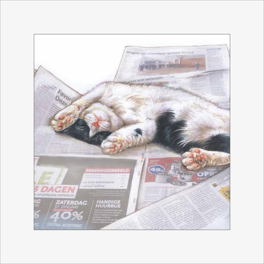 Reproductie "Kat leest Krant".