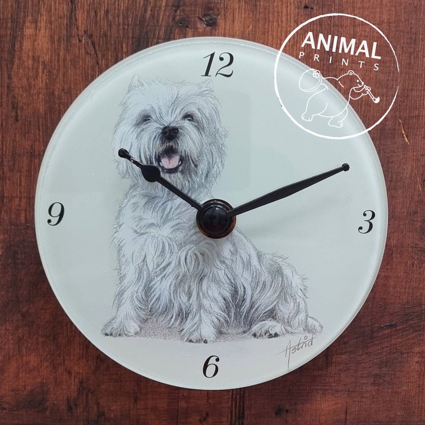 Klok West Highland White Terrier