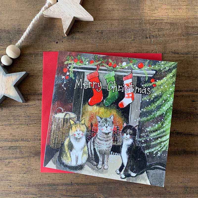 Alex Clark – Weihnachtskartenbox – Katze 