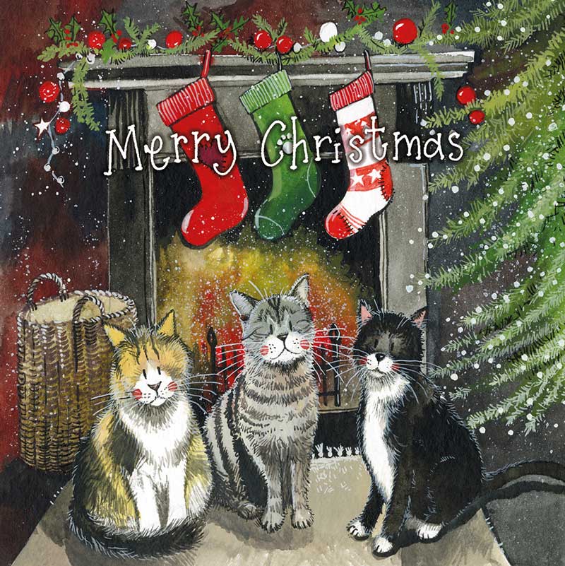 Alex Clark – Weihnachtskartenbox – Katze 