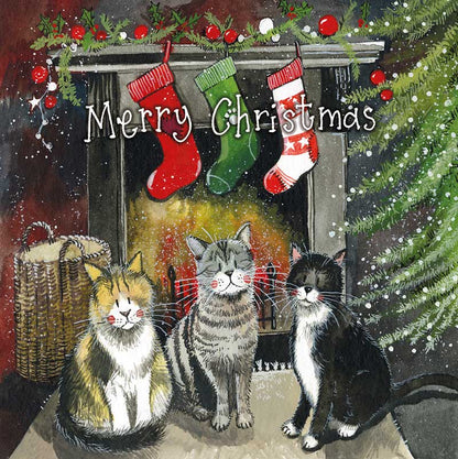 Alex Clark – Weihnachtskartenbox – Katze 