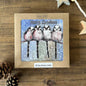 Alex Clark – Weihnachtskartenbox – Vögel an einer Leine 