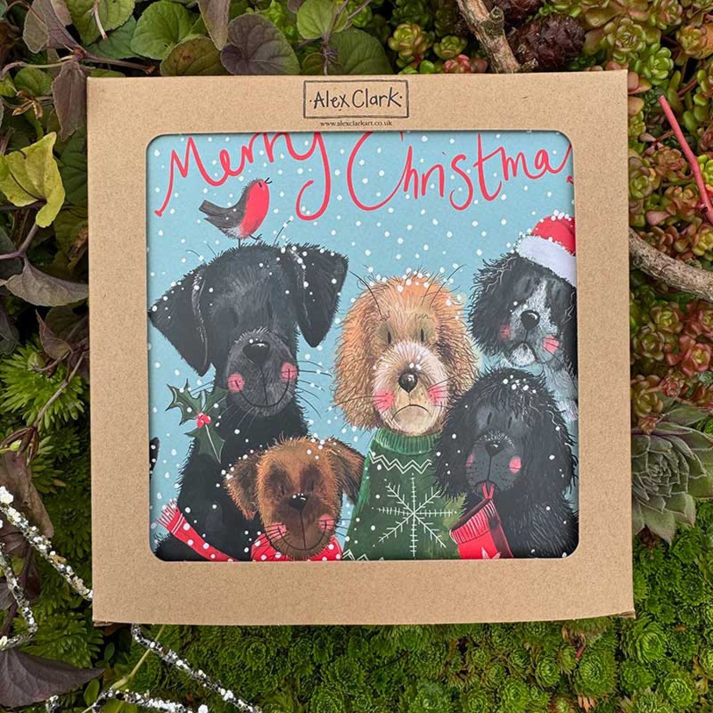 Alex Clark - Card Box - Dog 