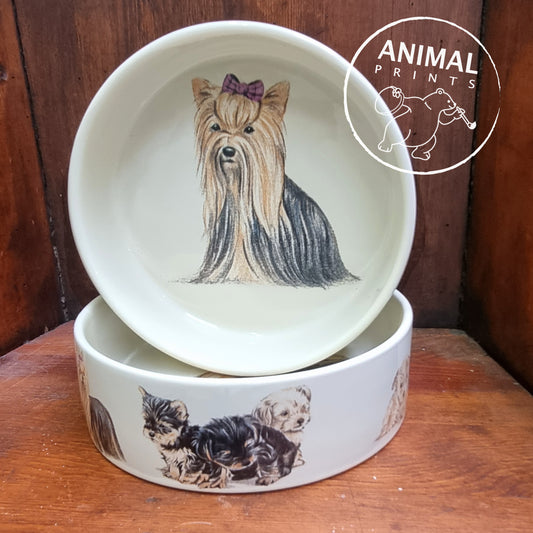 Voerbak Yorkshire Terrier