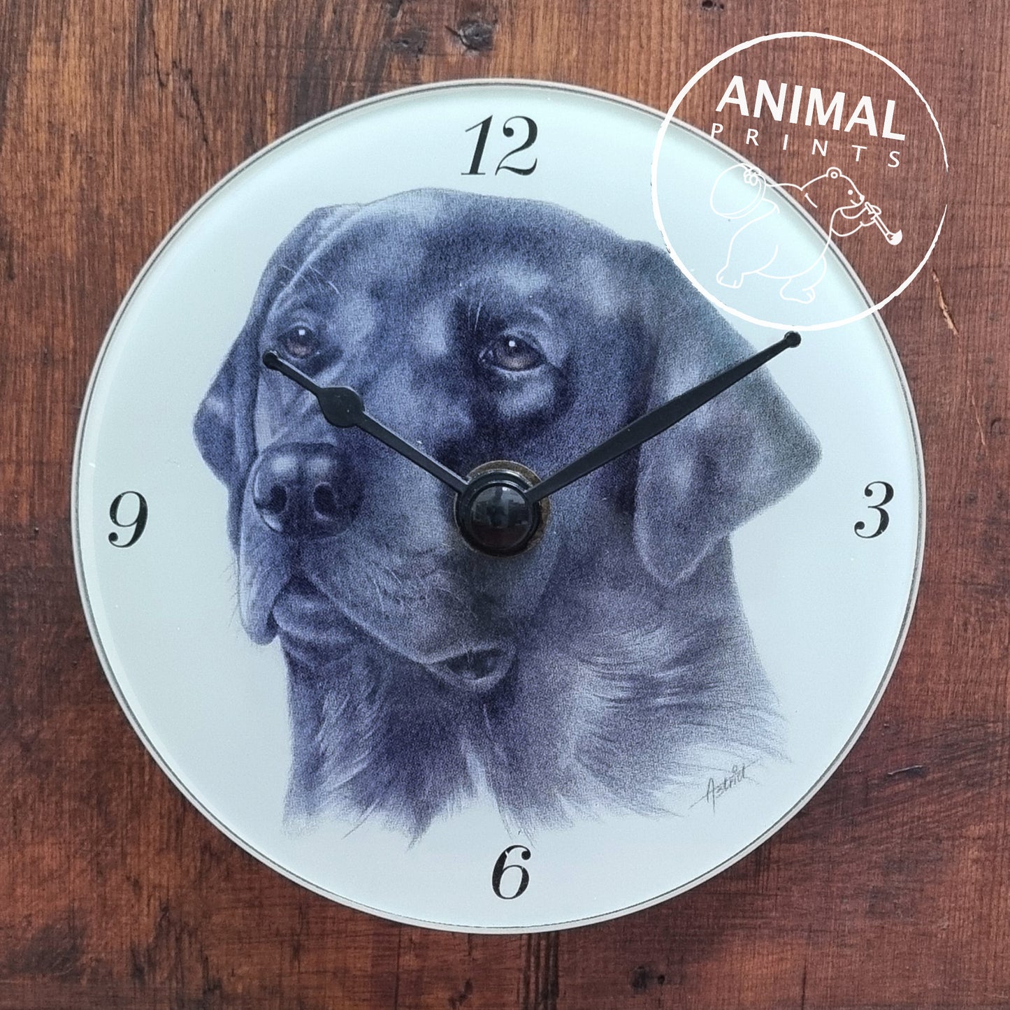 Klok Zwarte Labrador