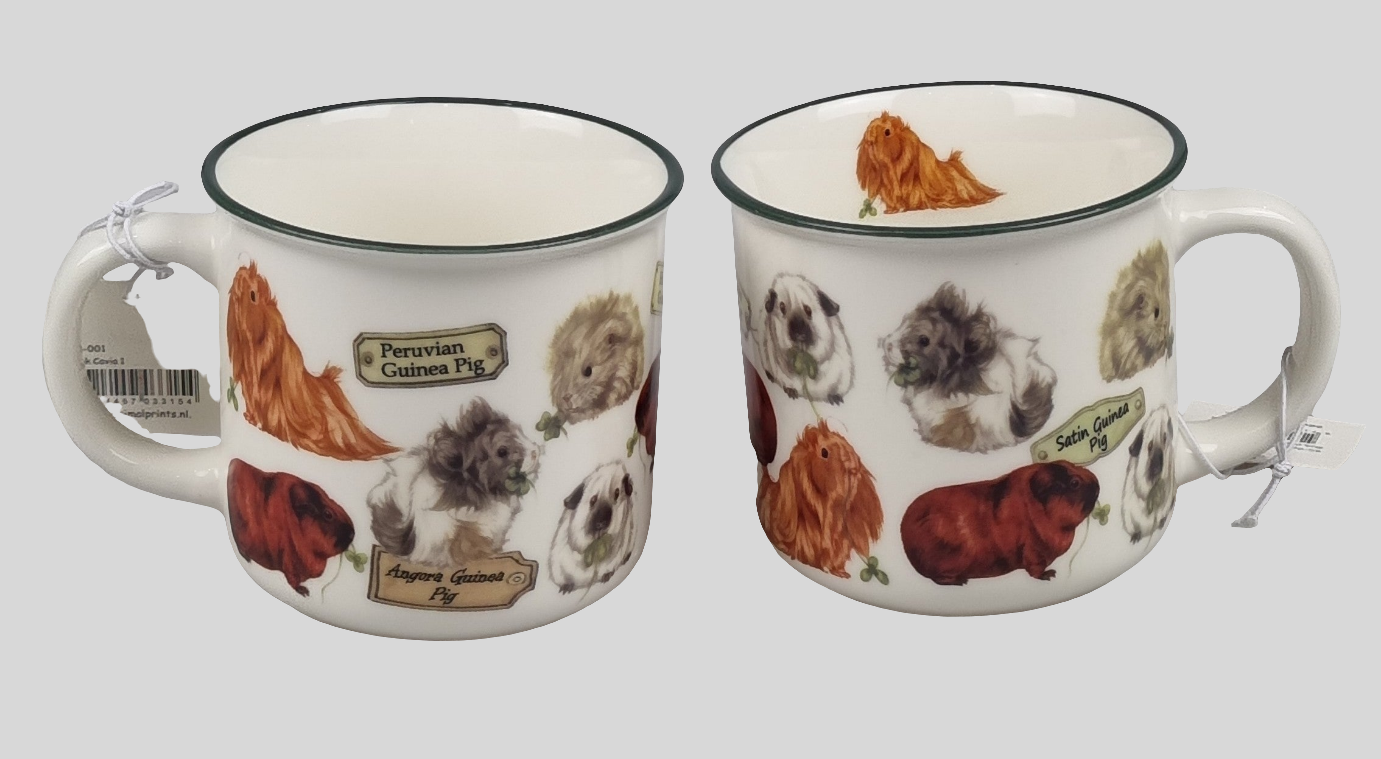 Mokken met collage - Cavia's - design 1