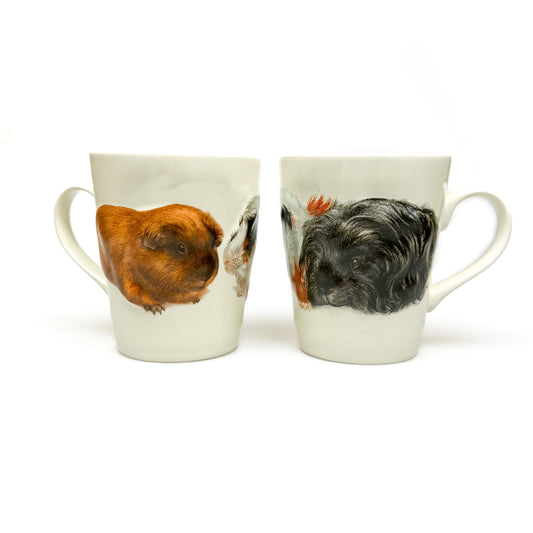 Reliefmok Cavia