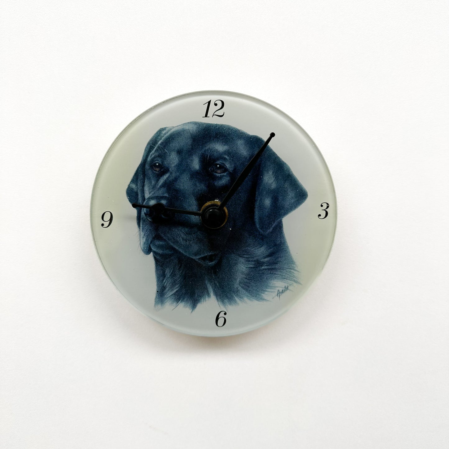 Klok Zwarte Labrador