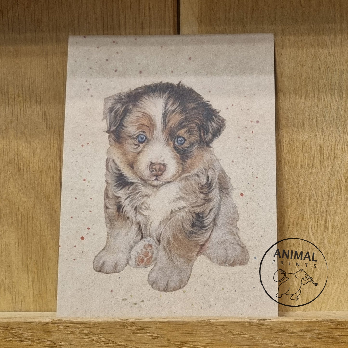 Kraftpapierkarte im A6-Format (Postkarte) - Kartennummer 5 - Australischer Schäferhundwelpe (5er-Packung)