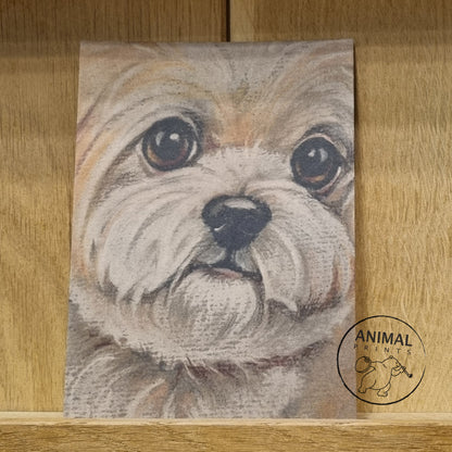 A6 Kraftpapierkarte (Postkarte) - Kartennummer 16 - Boomer (5er-Packung)