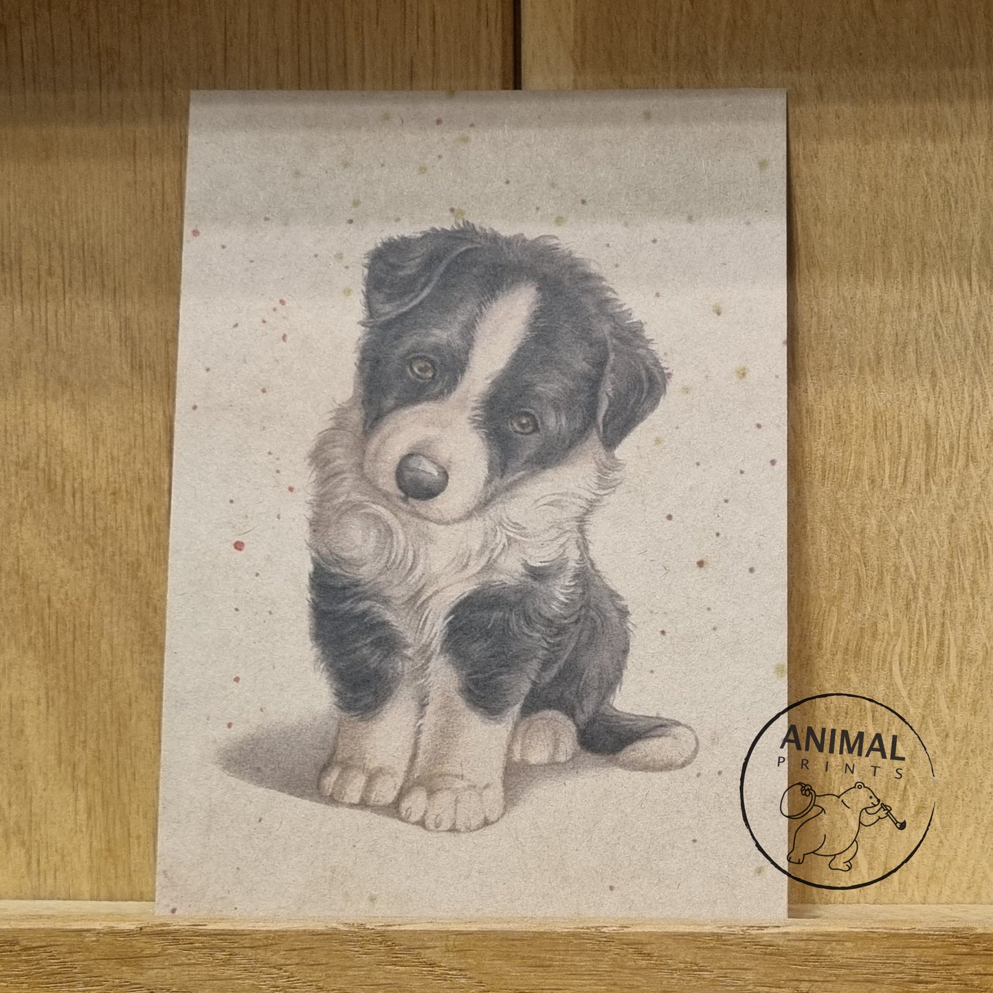 Kraftpapierkarte im A6-Format (Postkarte) - Kartennummer 1 - Border Collie (5er-Packung)