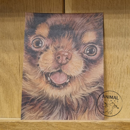 Kraftpapierkarte im A6-Format (Postkarte) - Kartennummer 13 - Chihuahua (5er-Packung)