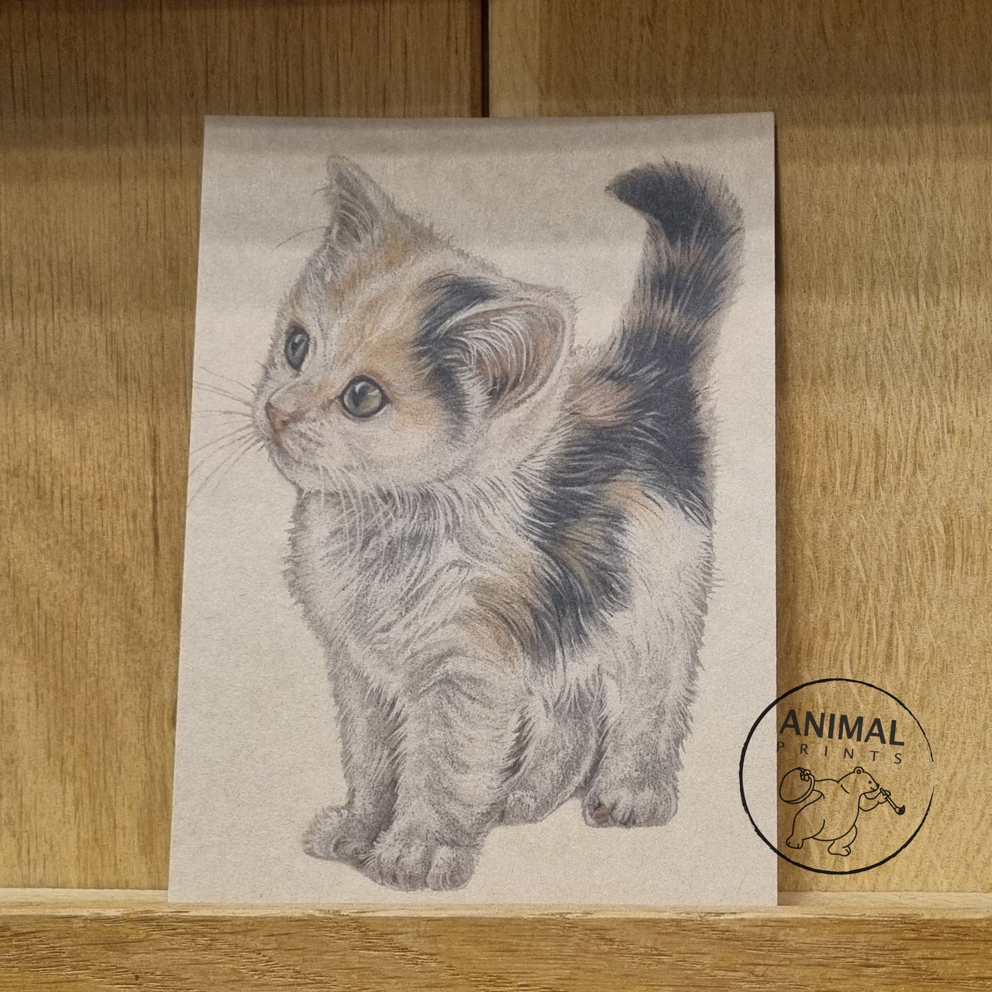 A6 kraft card (postcard) - card number 11 - Kitten (pack of 5)