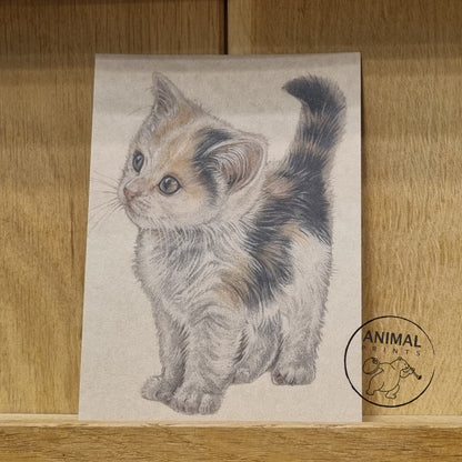 A6 kraft card (postcard) - card number 11 - Kitten (pack of 5)