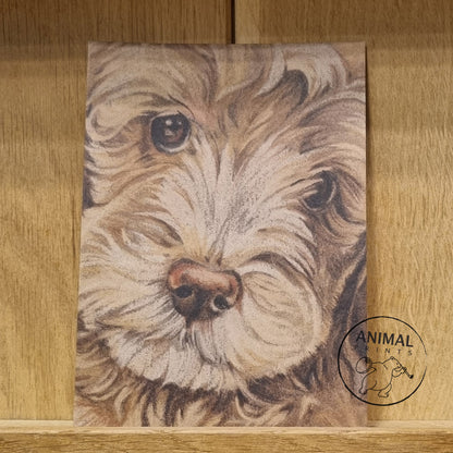 Kraftpapierkarte im A6-Format (Postkarte) - Kartennummer 15 - Labradoodle (5er-Packung)