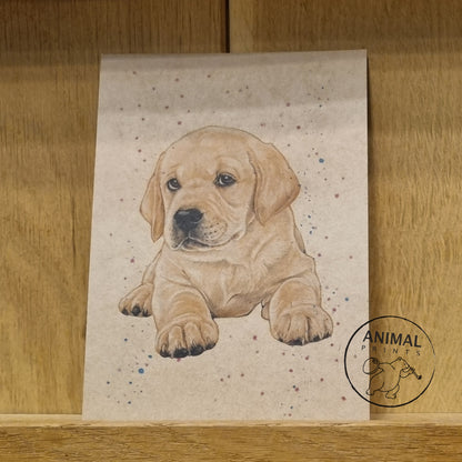 A6 Kraftpapierkarte (Postkarte) - Kartennummer 2 - Blonder Labrador (5er-Packung)