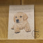 A6 Kraftpapierkarte (Postkarte) - Kartennummer 2 - Blonder Labrador (5er-Packung)