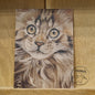 Kraftpapierkarte im A6-Format (Postkarte) - Kartennummer 21 - Maine Coon (5er-Packung)
