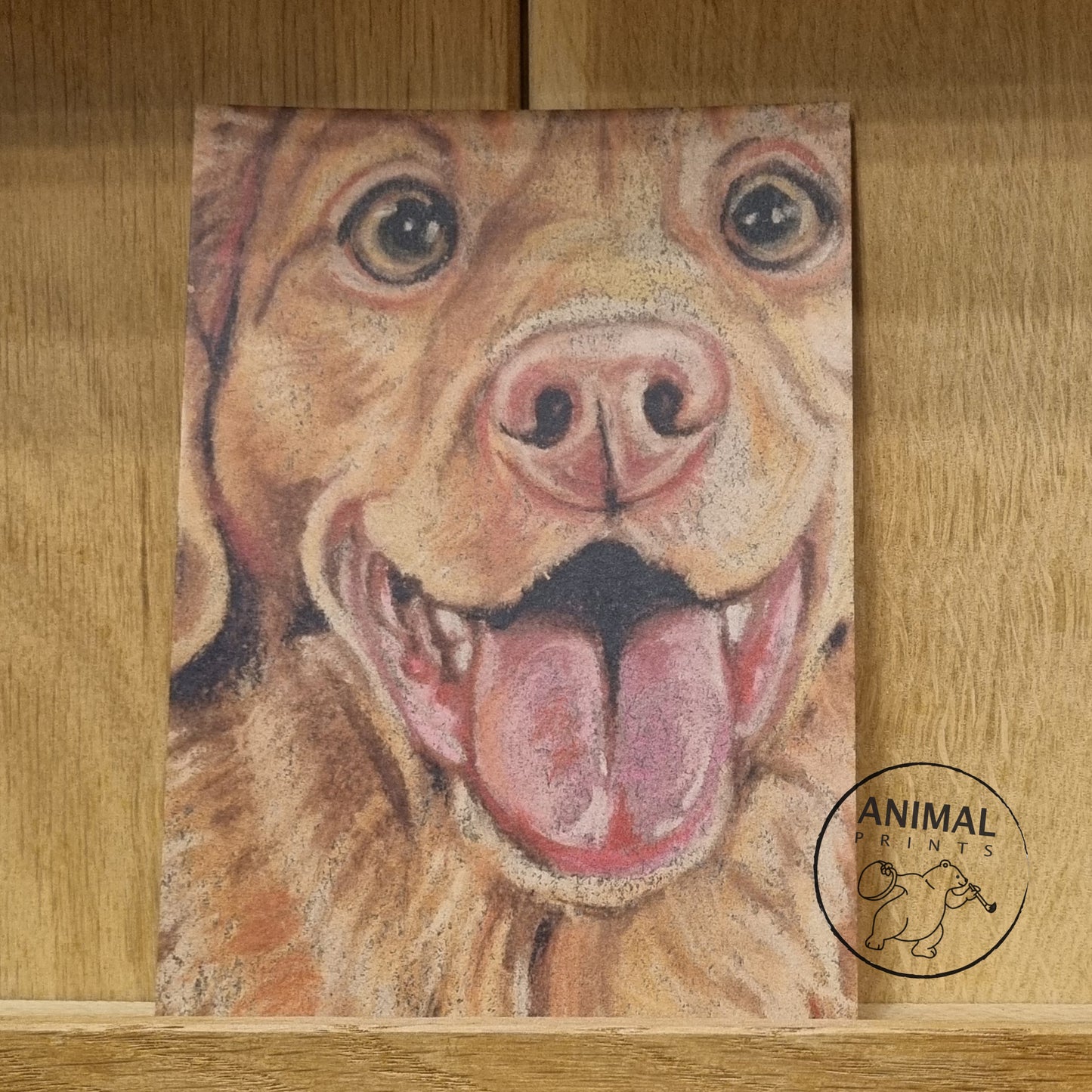 A6-sized kraft card (postcard) - card number 20 - Nova Scotia Duck Tolling Retriever (pack of 5)