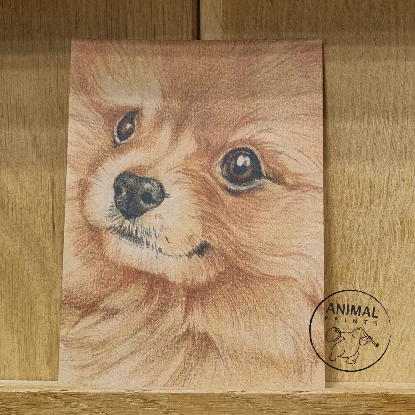 Kraftpapierkarte im A6-Format (Postkarte) - Kartennummer 19 - Pomeranian (5er-Packung)