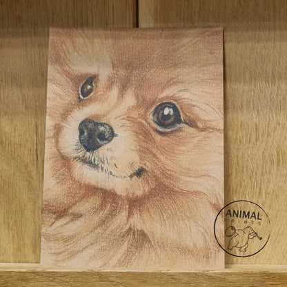 Kraftpapierkarte im A6-Format (Postkarte) - Kartennummer 19 - Pomeranian (5er-Packung)
