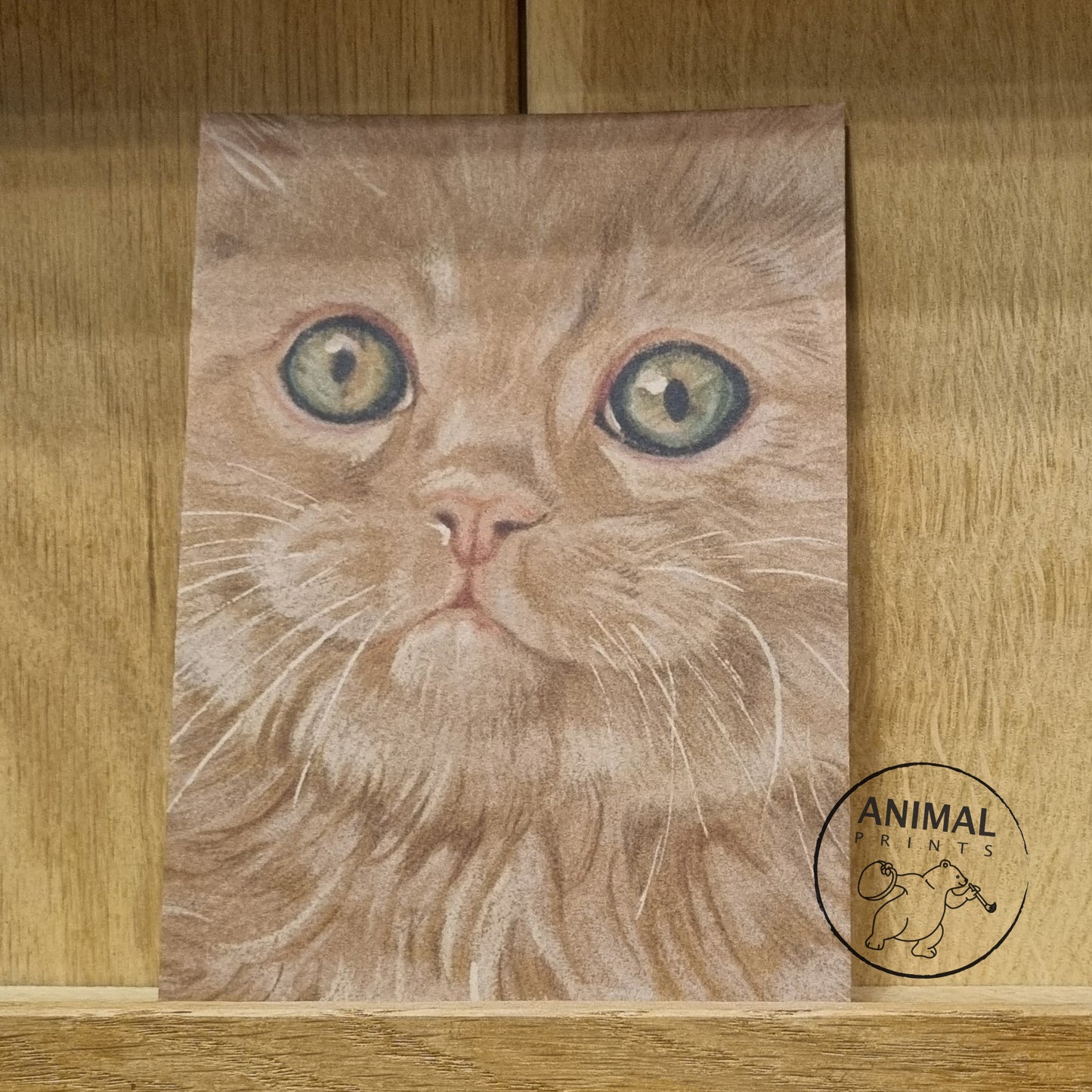 A6 Kraftpapierkarte (Postkarte) - Kartennummer 24 - Rote Katze / (5er-Packung)