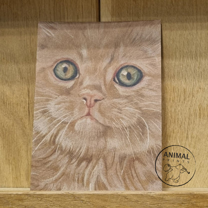 A6 Kraftpapierkarte (Postkarte) - Kartennummer 24 - Rote Katze / (5er-Packung)