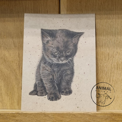 A6 Kraftpapierkarte (Postkarte) - Kartennummer 9 - Schwarzes Kätzchen (5er-Packung)