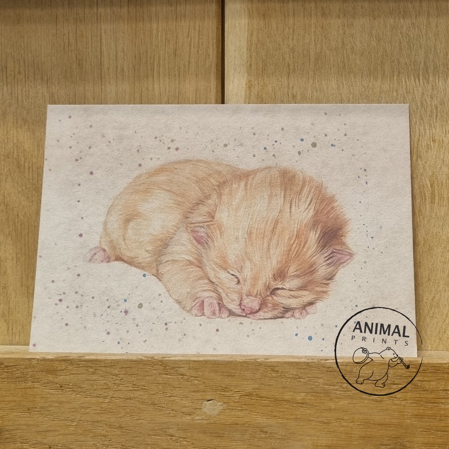 A6 Kraftpapierkarte (Postkarte) - Kartennummer 8 - Kätzchenrot (5er-Packung)
