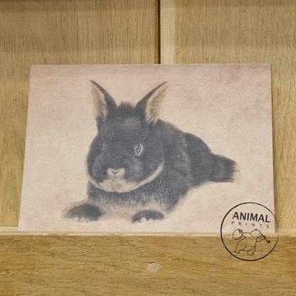 A6 Kraftpapierkarte (Postkarte) - Kartennummer 12 - Hase (5er-Packung)