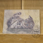 Kraftpapierkarte im Format A6 (Postkarte) - Kartennummer 10 - Liegendes Kätzchen (5er-Packung)