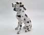 Beeld Duitse Dog