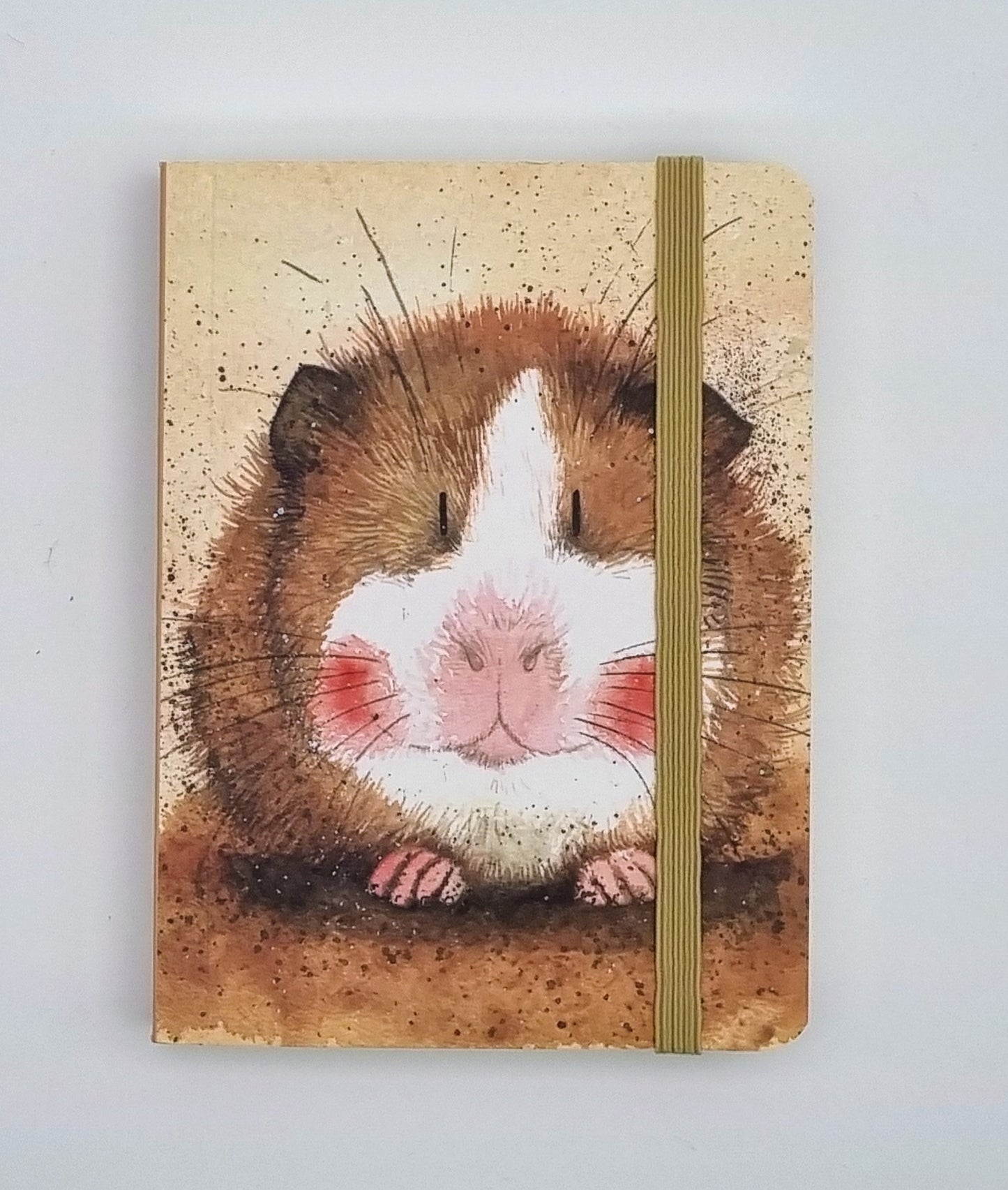 Alex Clark Collection - Notebooks 6