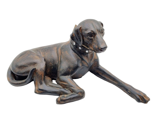 Beeld - Liggende jacht hond