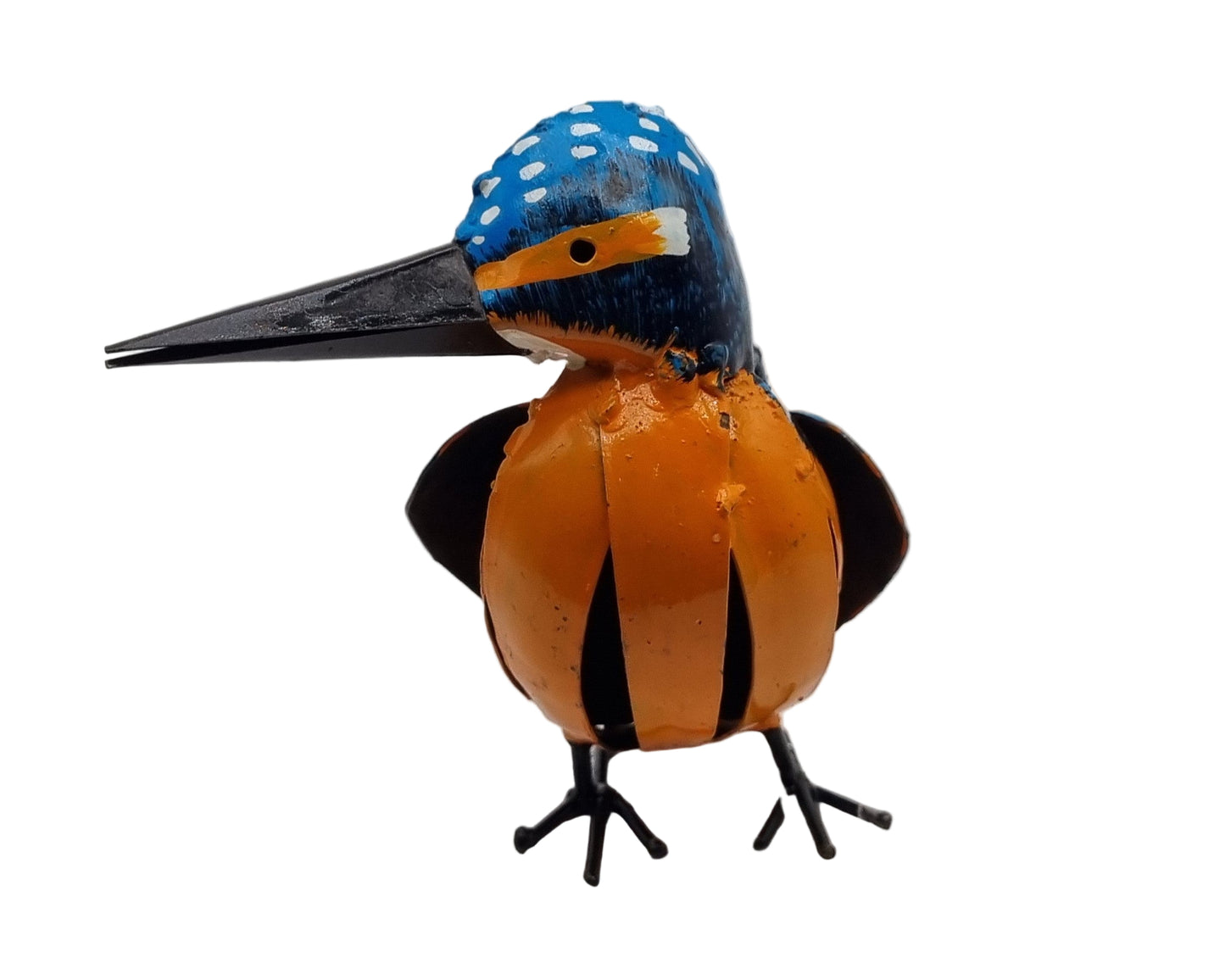 Bild Eisvogel
