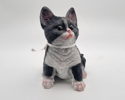 Kattenbeeldje - Zwart witte kat / kitten