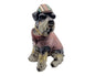 Beeld van Airdale Terrier met cap en jasje