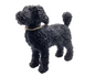 Abbildung eines Labradoodles (schwarz und stehend)