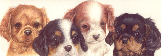 Smalle kaarten - Cavalier King Charles Spaniels