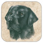 Coaster per 3 pieces Black Labrador