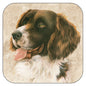 Coaster per 3 pieces Drentsche Partridge Dog