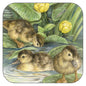 Onderzetter per 3 stuks Jonge Eendjes