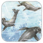 Onderzetter per 3 stuks Zeehondjes