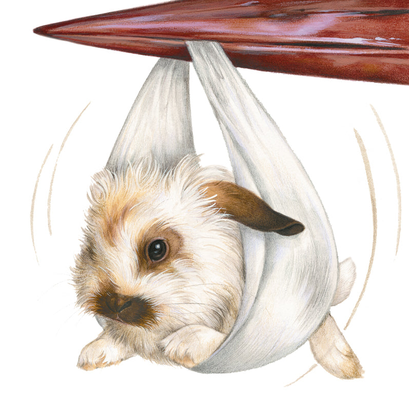 Square card - Birth wish Bunny brought by Stork