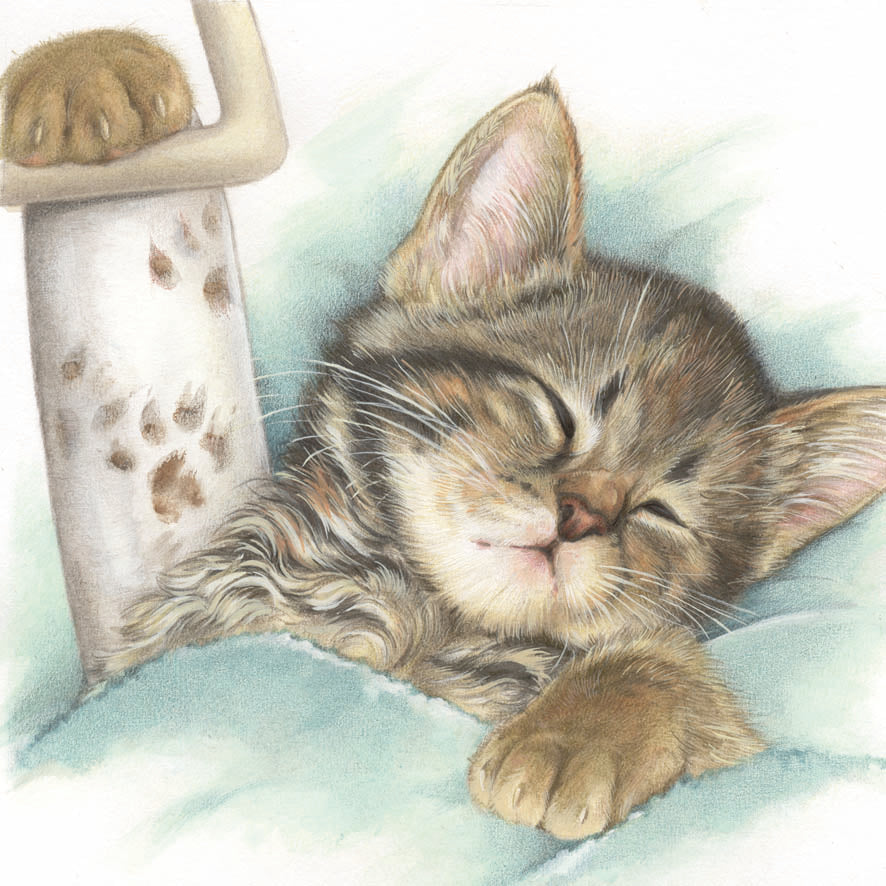 Square card - Cat with broken leg, Get well soon (cat print)