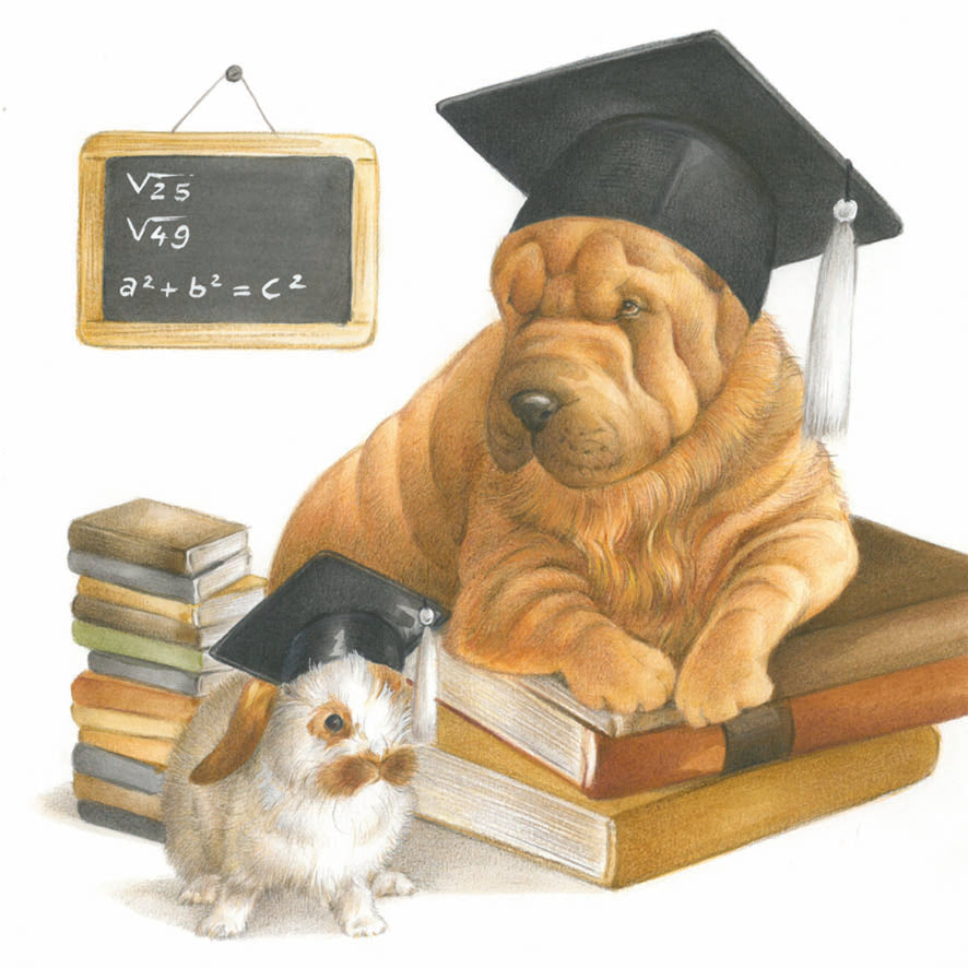 Square-Karte – Bestanden, Studium vorerst beendet… (Sharpei)