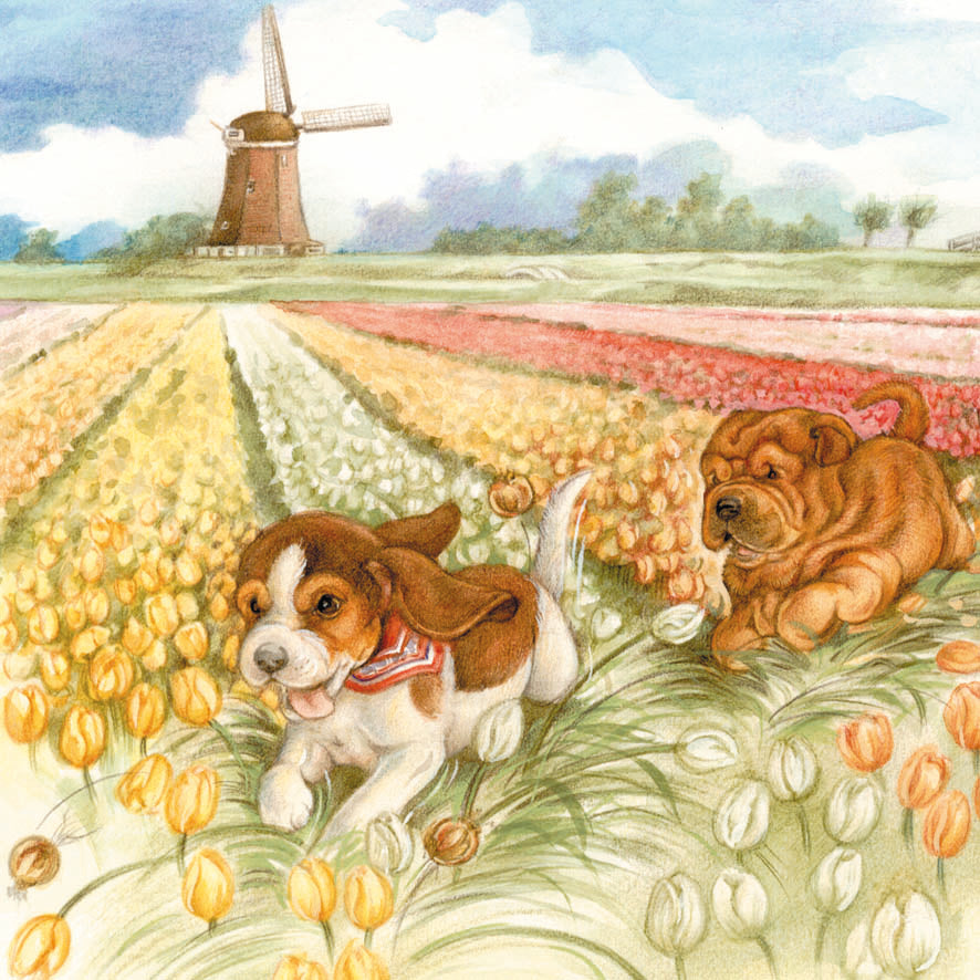 Quadratische Karte – Holländische Szene, einfach so herumtollen... (Beagle und Shar-Pei)
