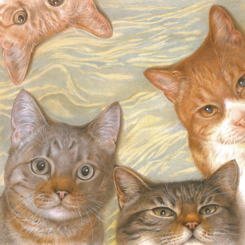 Quadratische Karte – Katzencollage (Katzenmotiv)