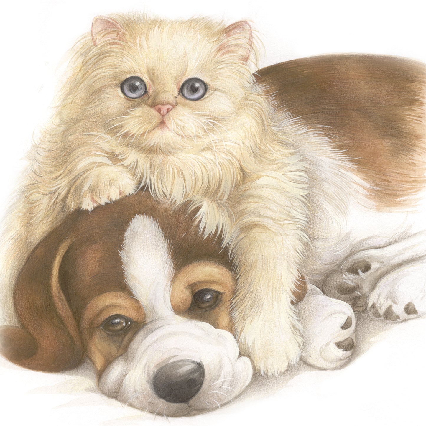 Quadratische Karte – Wahre Liebe, wahre Freundschaft… (Perserkatze und Beagle)