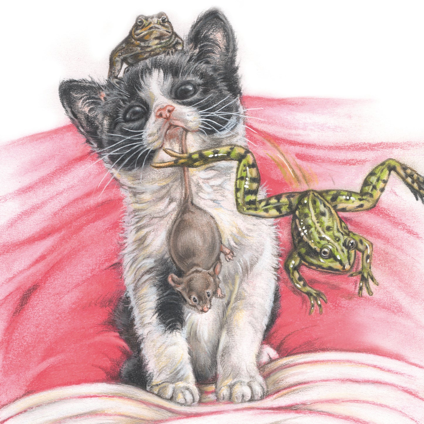 Square card - I love sharing all my finds with my caregivers. Are they happy with them? (cat print)